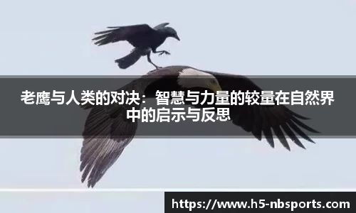 老鹰与人类的对决：智慧与力量的较量在自然界中的启示与反思